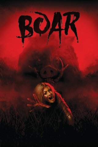 Affisch: Boar