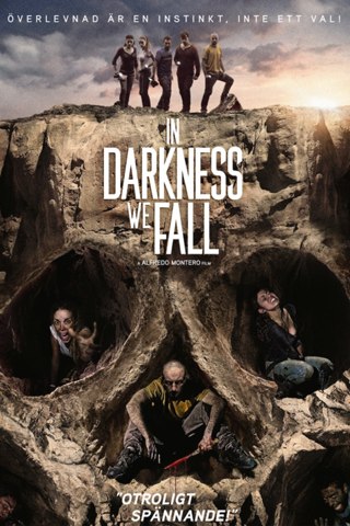 Affisch: In Darkness We Fall