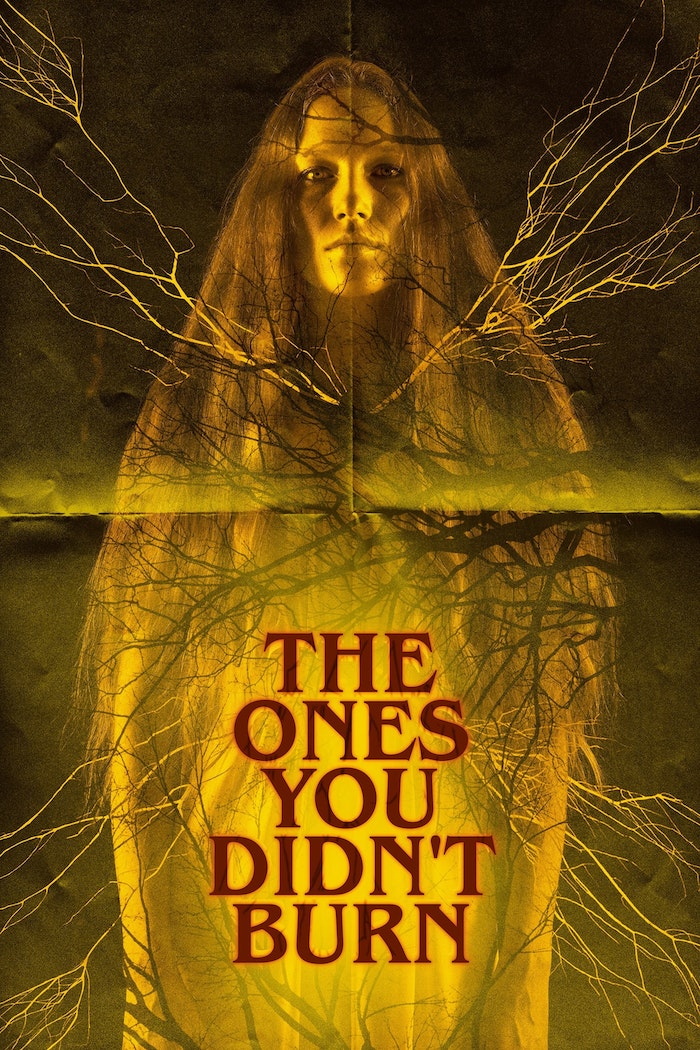 Affisch: The Ones You Didn’t Burn
