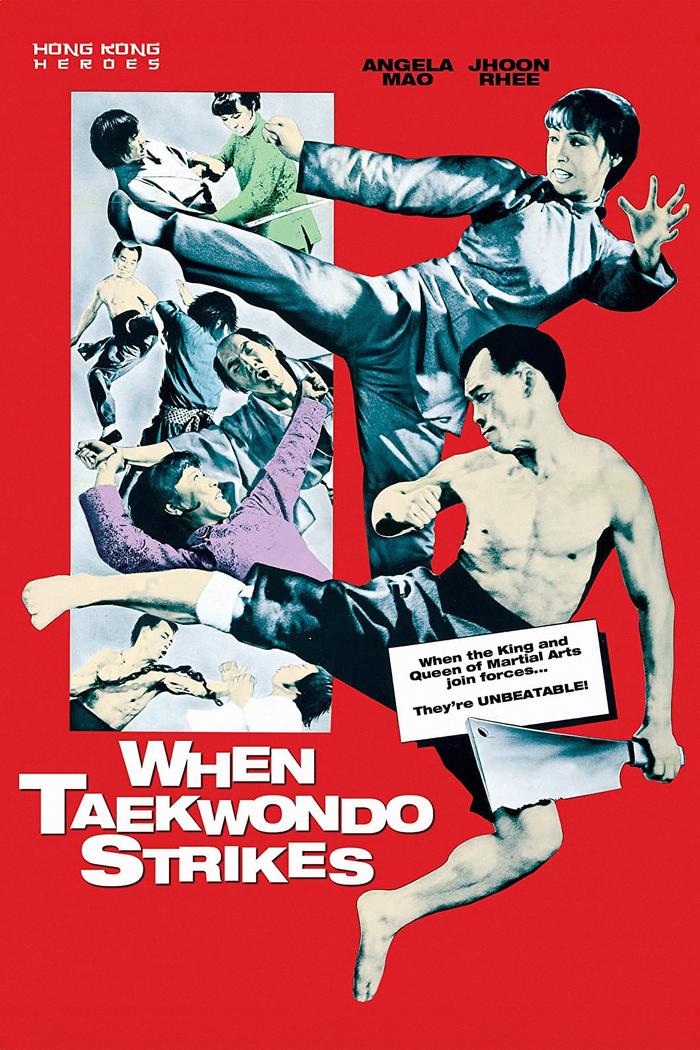 Affisch: When Taekwondo Strikes