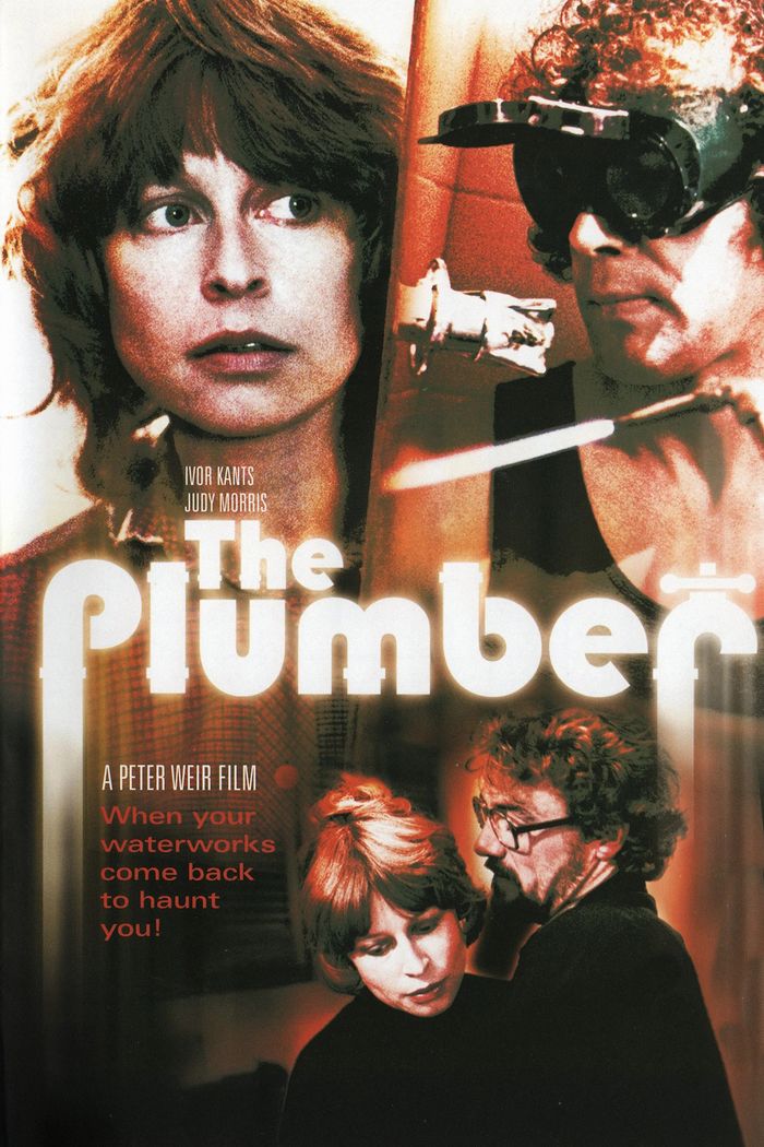 Affisch: The Plumber