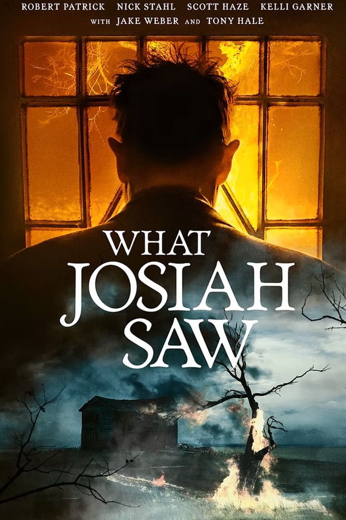 Affisch: What Josiah Saw