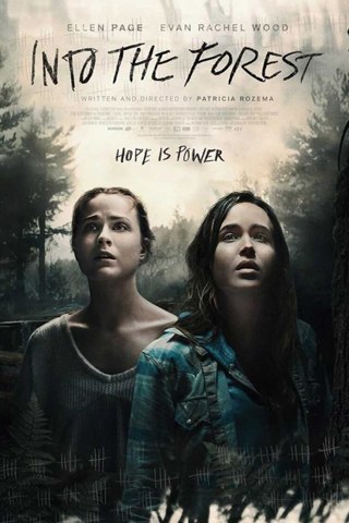 Affisch: Into the Forest